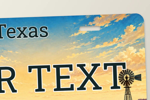 50-State Custom License Plate — Up Close · current design preview